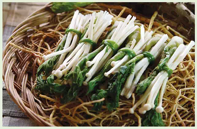 Korean Temple Food : Explore Traditional Vegan Food 2 Traditional Korean Vegan Food_Korean Temple Food_begin