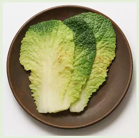 4Korean Temple Food in Autumn_Seasonal Vegan Recipes_Baechu Jeon